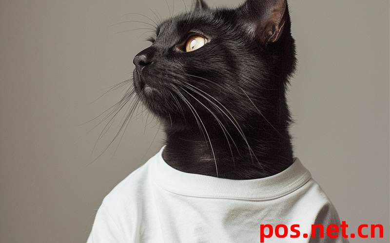 POS机洗钱判几年？2023年商户亲述避坑三招免罚30万